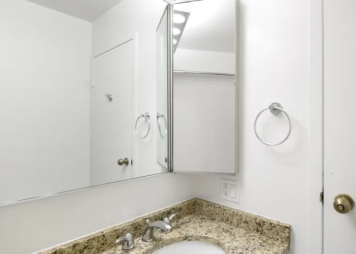 River N 1br W Gym Wd Nr Mag Mile Chi-86 Chicago